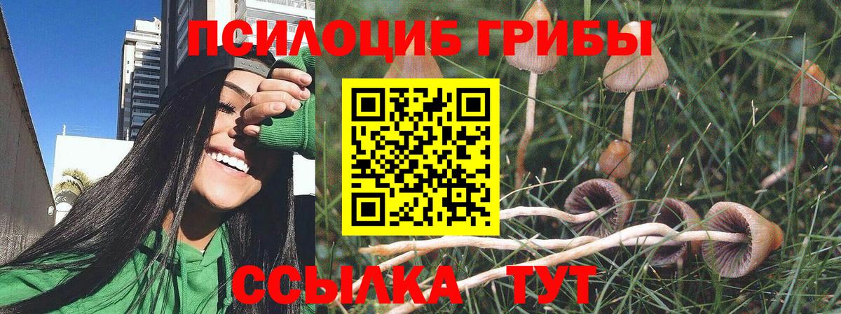 Галлюциногенные грибы мицелий  Вход с VPN  Коломна 
